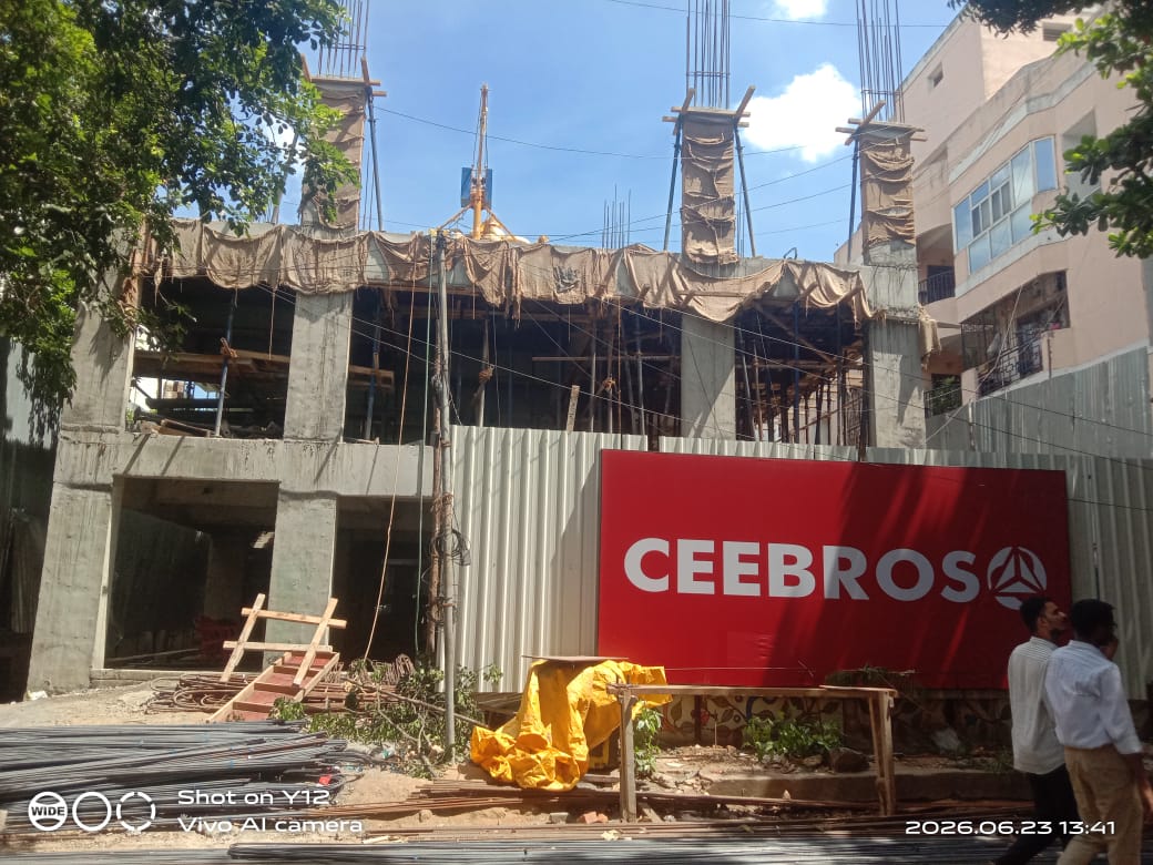 Ceebros (1)