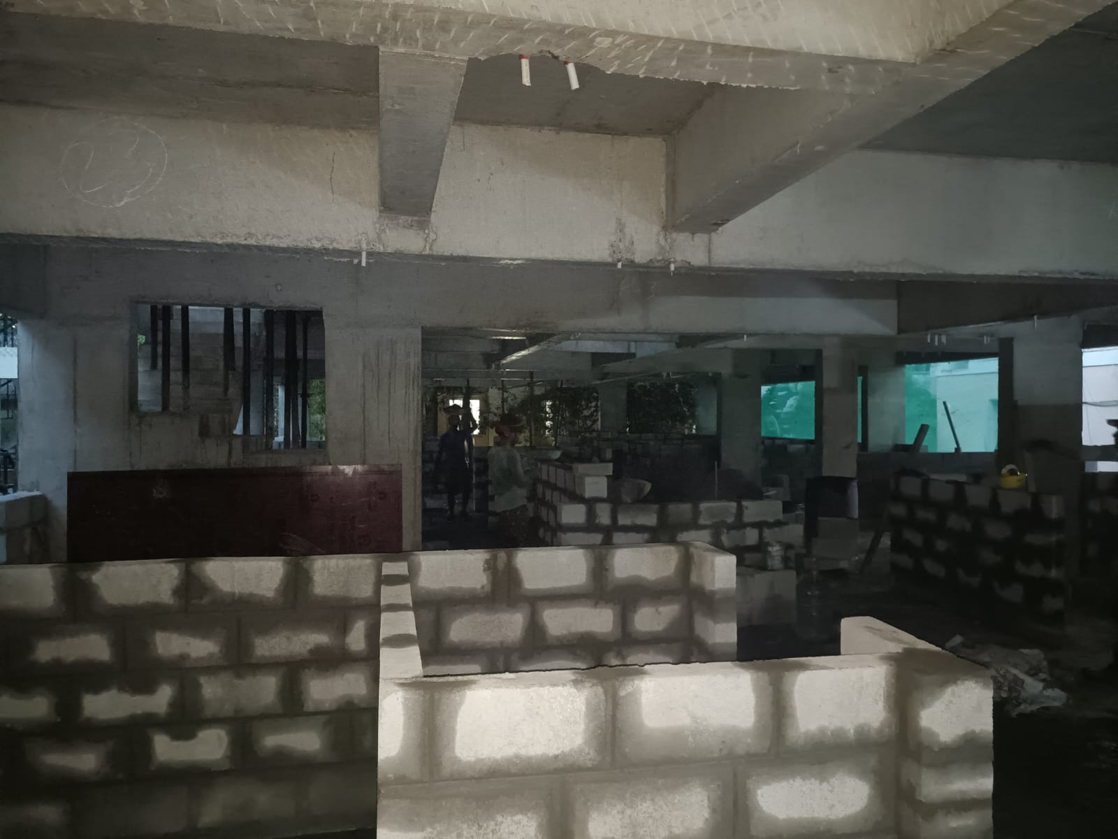 Ceebras - 21-07 (3)